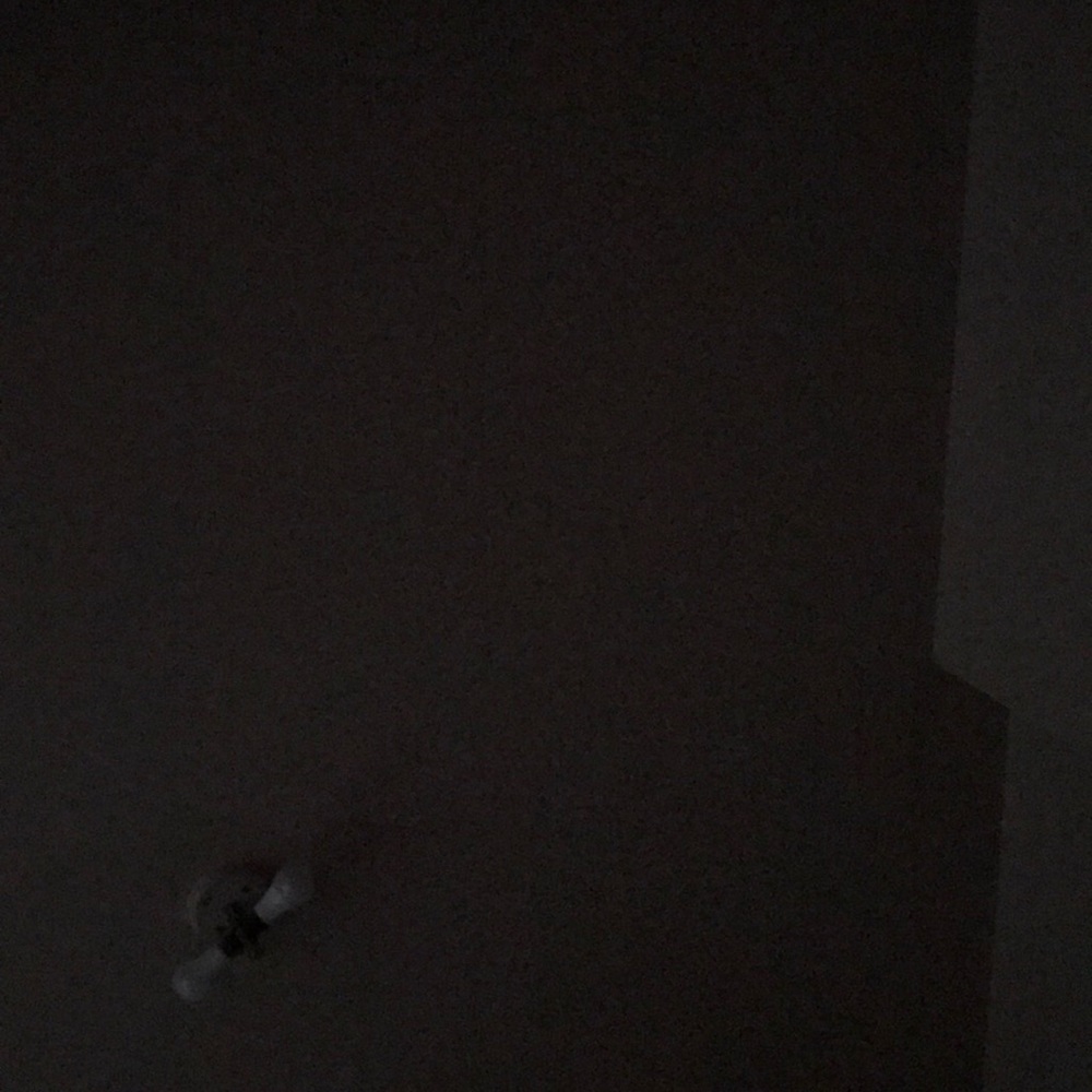 Meet your Posher, Elyse